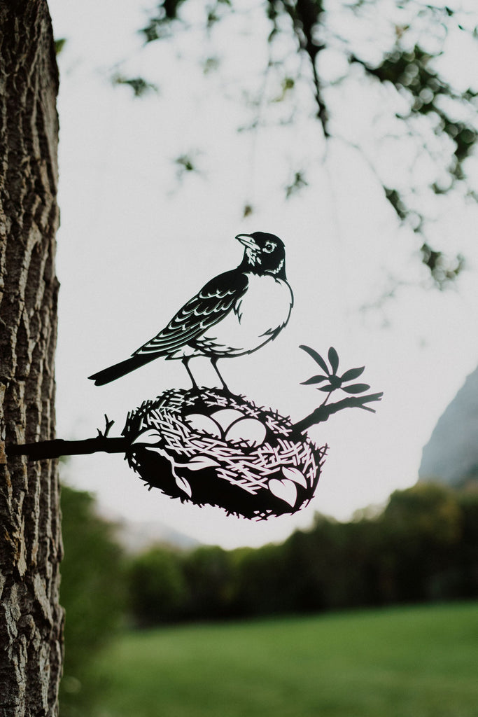 Robin with Nest