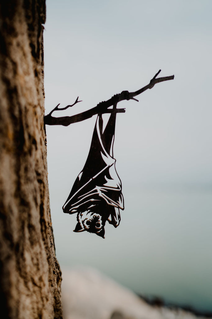 Hanging Bat