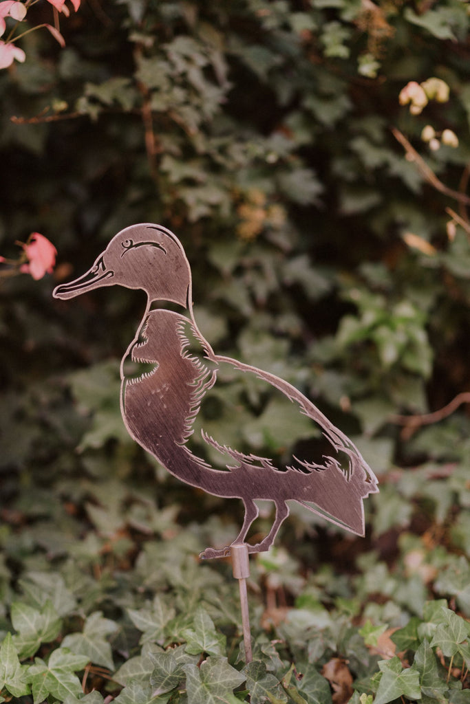 Mallard Duck (Standing)